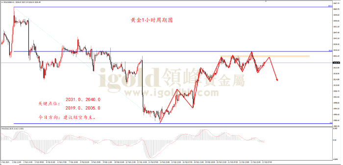 2024年2月23日黄金走势图