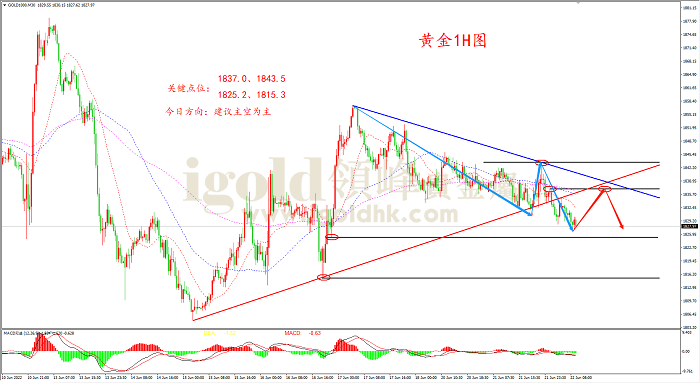 2022年6月22日黄金走势图