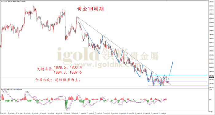 2023年8月22日黄金走势图