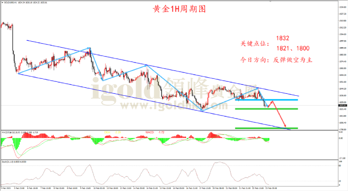 2023年2月23日黄金走势图