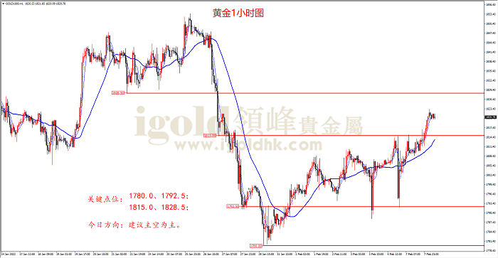 2022年2月8日黄金走势图
