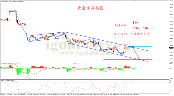 2023年2月21日黄金走势图
