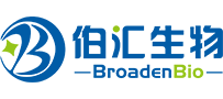 伯汇生物Logo